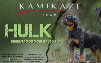Galeria de Imagens: Kamikaze Rott Banner DogShow